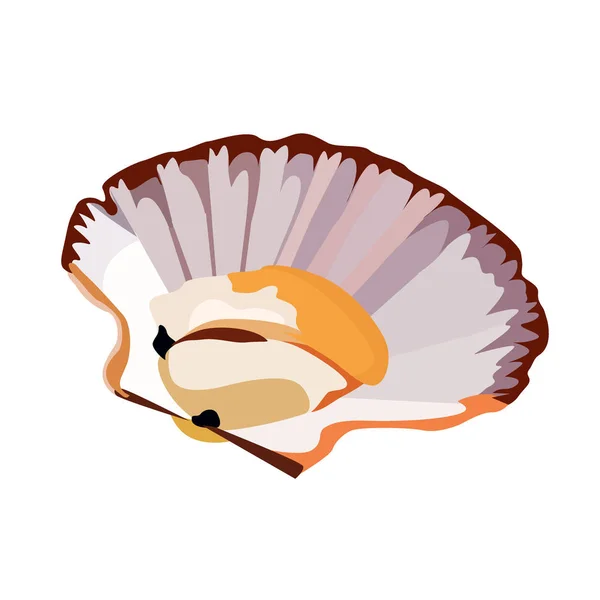 Capesante in icona shell isolato su sfondo bianco, frutti di mare gustosi freschi, cibo sano, illustrazione vettoriale . — Vettoriale Stock