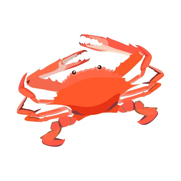 Icono de cangrejo cocido rojo aislado sobre fondo blanco, mariscos frescos, comida sabrosa saludable, ilustración vectorial . — Vector de stock