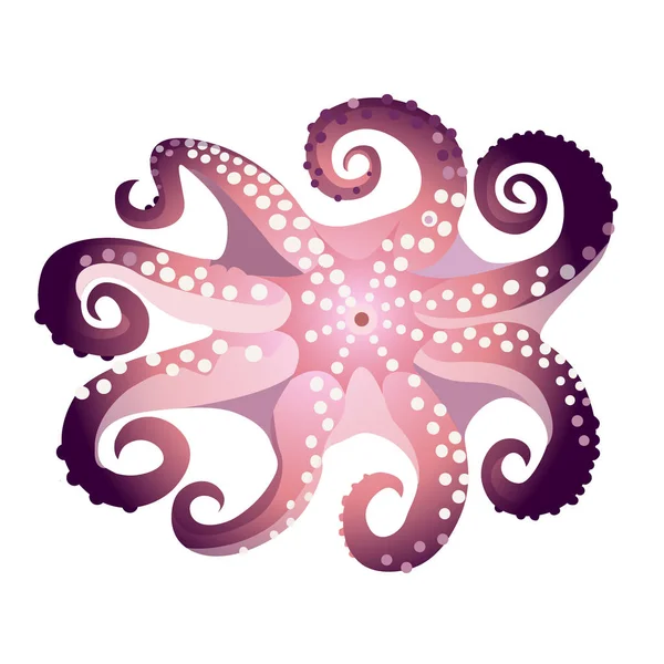 Octopus isolerad på vit bakgrund, färska skaldjur, undervattens marina djur, vektor illustration. — Stock vektor