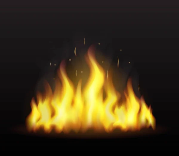 Realistický požár na průhledném pozadí. pro koncepci nebezpečnosti nebo pro návrh webu. Plamen a červený oheň — Stockový vektor