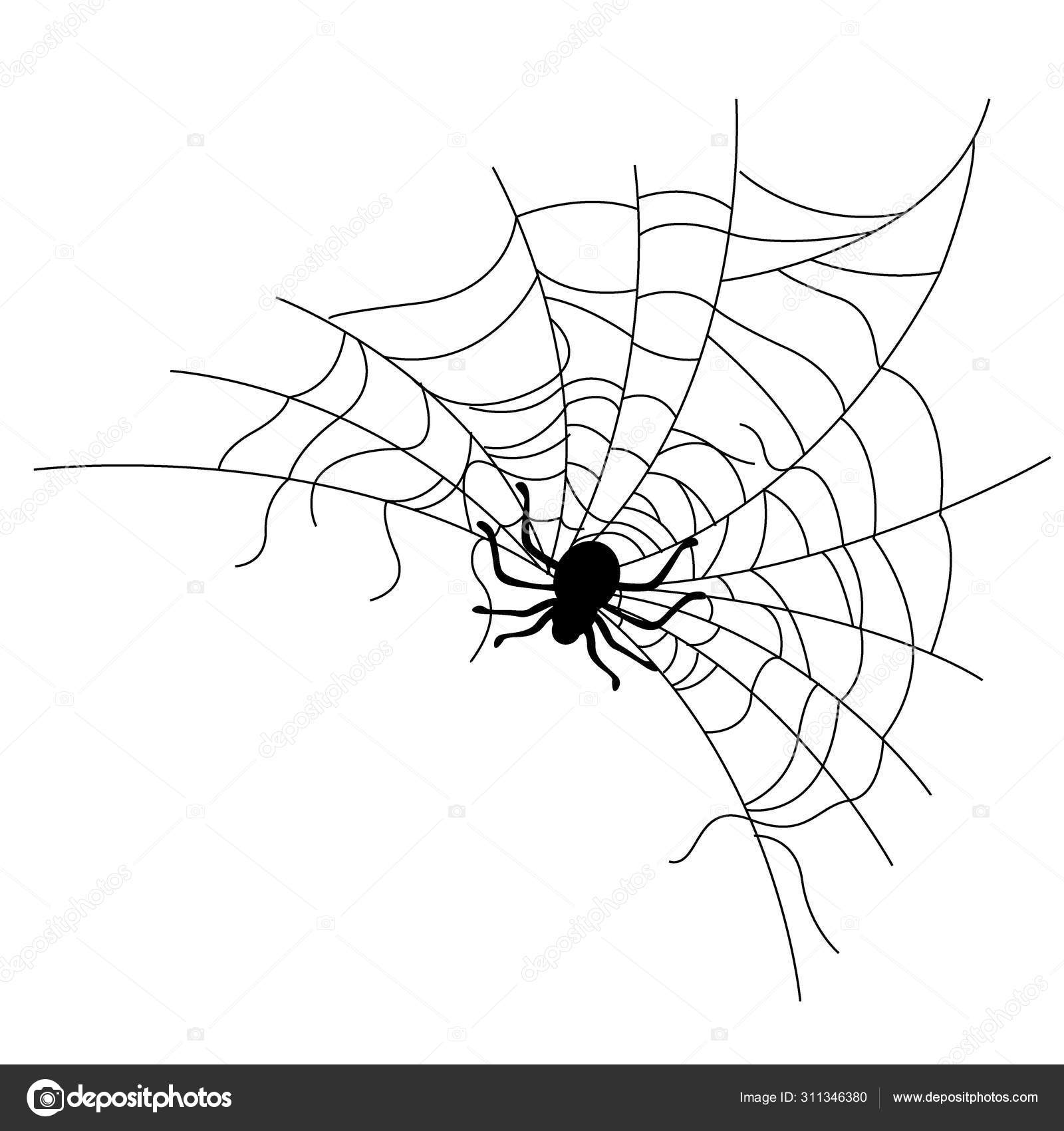 Set of spider web of different shapes with black spiders isolated Stock Vector Image by ©MarySan_ #311346380