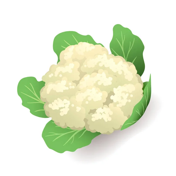 Coliflor blanca con hojas verdes icono aislado, vegetal, vector de ilustración . — Archivo Imágenes Vectoriales