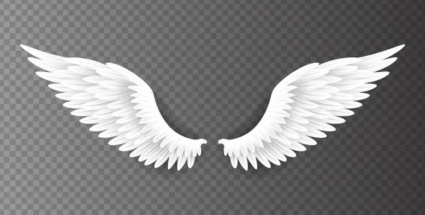 透明背景に隔離された美しい白い天使の翼のペア, 3Dリアルなベクトルイラスト.霊性と自由 — ストックベクタ