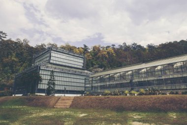 gevşeme, seyahat, turizm, agrotourism, mevsim, saat, tatil, tarım, kariyer ve mesleki kavramı kırsal alanda gündüz Glasshouse 