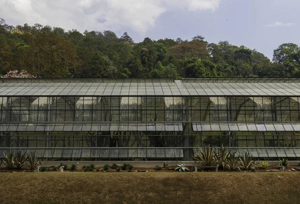 Glasshouse Overdag Landelijke Omgeving Voor Ontspanning Reizen Agrotoerisme Agrotoerisme Seizoen — Stockfoto