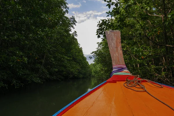 Tropik mangrov orman yaz aylarında Tayland'da kıyı boyunca normal hızda Phangnga Bay Milli Parkı, çevre, gevşeme, seyahat, yolculuk, sezon ve iklim değişikliği kavramı
