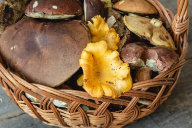 Sepet farklı taze orman mantar dolu.