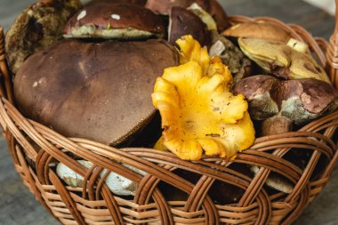 Sepet farklı taze orman mantar dolu.