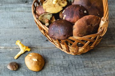 Sepet farklı taze orman mantar dolu.