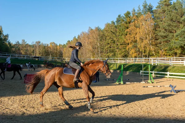 オトミン ポーランド 2018 秋の田舎で馬に乗って 代の少女 — ストック写真