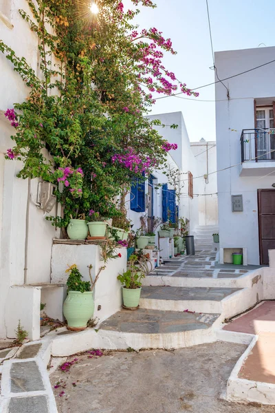 Île Serifos Avec Belles Maisons Blanchies Chaux Des Fleurs Cyclades — Photo