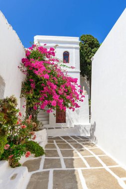 Yunan mimarisi ile yaz çiçek badanalı. Serifos Adası. Kiklad Adaları, Yunanistan.