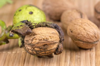 Tatlı taze ceviz. Bahçe hasat, sağlıklı gıda.