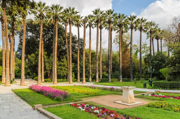 Palm Trees Athens National Garden City Centre Greece — Stock Photo, Image