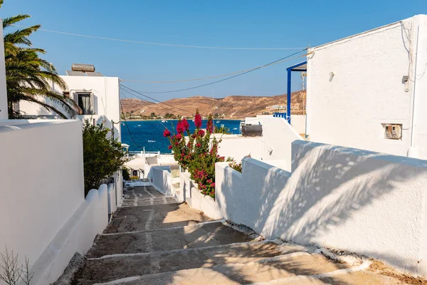 Prachtige Griekse Straat Met Zomerbloemen Zonnige Dag Eiland Serifos Griekenland — Stockfoto