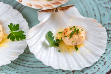 Tereyağı, sarımsak ve maydanoz ile kurutulmuş tarak shell.