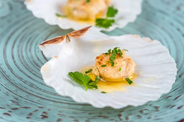 Seared Scallops Shell Butter Garlic Parsley — Stock Photo, Image