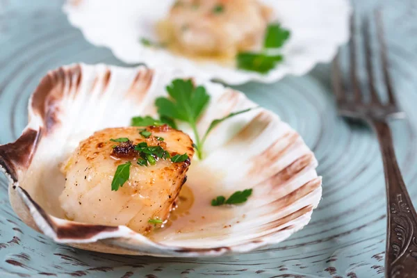 Seared Scallops Shell Butter Garlic Parsley — Stock Photo, Image