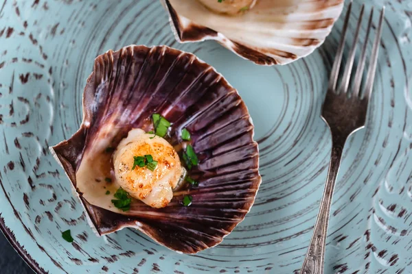 Tereyağı, sarımsak ve maydanoz ile kurutulmuş tarak shell.