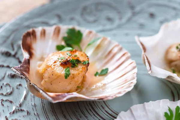 Seared Scallops Shell Butter Garlic Parsley — Stock Photo, Image