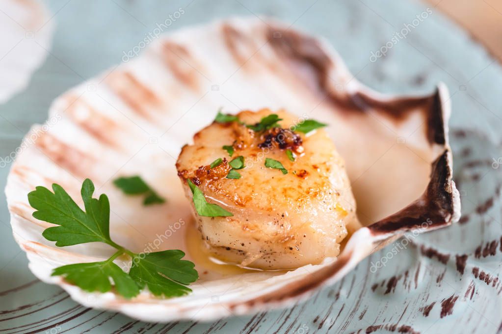 Seared scallops shell with butter, garlic and parsley.