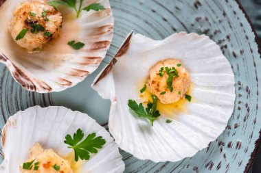 Tereyağı, sarımsak ve maydanoz ile kurutulmuş tarak shell.