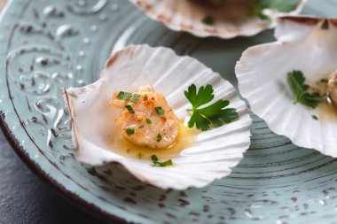 Tereyağı, sarımsak ve maydanoz ile kurutulmuş tarak shell.