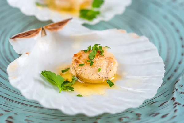 Seared Scallops Shell Butter Garlic Parsley — Stock Photo, Image