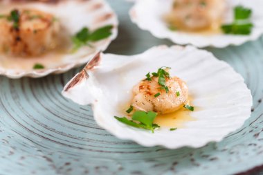 Tereyağı, sarımsak ve maydanoz ile kurutulmuş tarak shell.