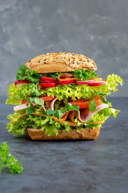 Jambon, peynir ve taze sebze karanlık bir tahta üzerinde büyük sandviç. Kahvaltı konsepti.