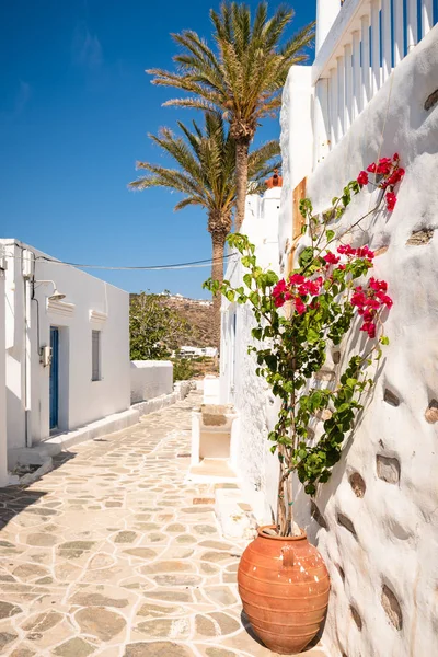 Pitoresk köy, Kastro, Sifnos eski başkenti. Kiklad Adaları, Yunanistan. Europe