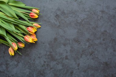 Siyah arka planda lale çiçekler kompozisyon. Boşluk Kopyala