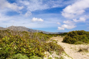 Elafonisi plajında arka planda dağlar ile pitoresk peyzaj. Creta Adası, Yunanistan