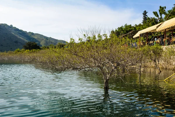 Trees at Kournas Lake in Crete. Greece — Stock Photo, Image