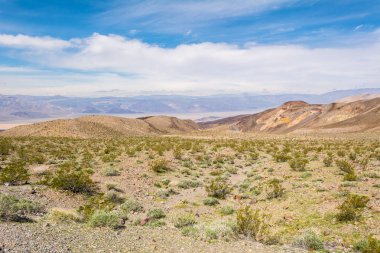Ölüm Vadisi Milli Parkı'ndaki Panamin Vadisi yolundan görülen manzara. California. Abd