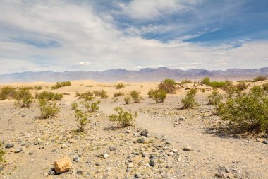 Ölüm Vadisi Milli Parkı'ndaki Mesquite Flat Sand Dunes. California, Amerika Birleşik Devletleri