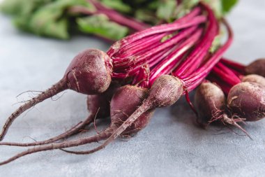 Pancarlı pazı grubu. Taze yaprakları ile genç pancar.