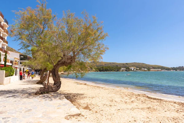 MALLORCA, SPAIN - May 6, 2019: Coastal promenade with sandy beach in Port de Pollenca (Puerto Pollensa), a popular family resort in the north-west of Mallorca. Spain — Stock Photo, Image