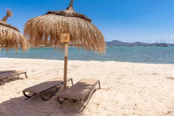 Güzel Port de Pollenca (Puerto Pollensa) kumlu plajda şezlong ile Saman şemsiye. Mallorca. İspanya