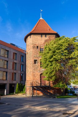 Gdansk, Polonya - 22 Haziran 2019: Tarihi Gdansk'taki Kuğu Kulesi. Avrupa.