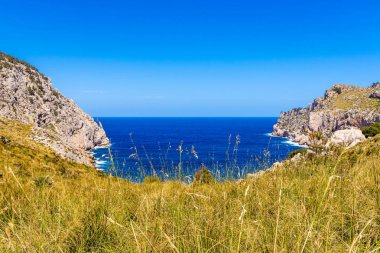 Cap Formentor'da Cala Figuera, turkuaz su, plaj ve dağlar, Mallorca adası, İspanya ile güzel deniz koyu