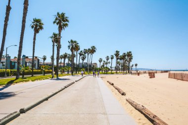 Venice Beach, Los Angeles güneşli bir günde palmiye ağaçları ile sahil gezinti, Kaliforniya, ABD