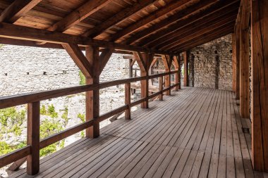 Polonya Jurassic Highland Ogrodzieniec Kalesi kalıntıları, Polonya Silezya bölgesi, Avrupa