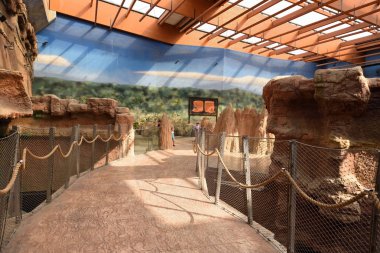 Wroclaw, Polonya - 17 Temmuz 2019: Wroclaw Hayvanat Bahçesi'ndeki modern Africarium'un iç kısmı.