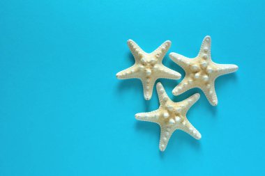 Mavi arka planda denizyıldızı ile yaz tatili konsepti.