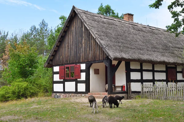 Het folk Culture Museum in Osiek aan de rivier de Notec, het openluchtmuseum presenteert de Poolse volkscultuur. Polen, Europa — Stockfoto