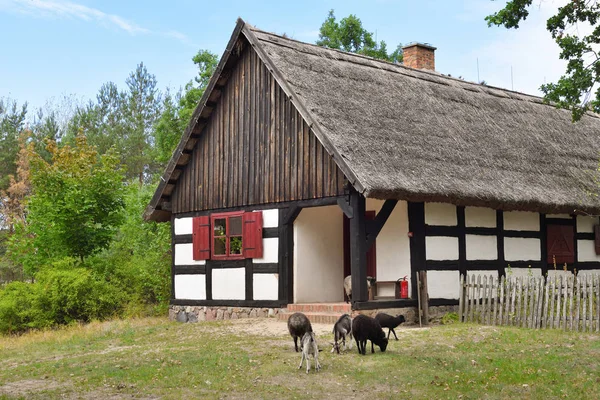 Het folk Culture Museum in Osiek aan de rivier de Notec, de open-AI — Stockfoto