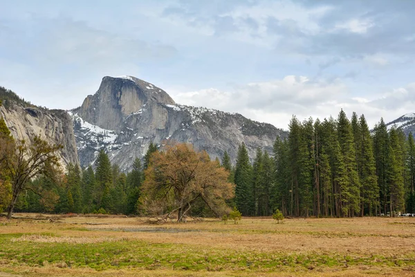 Национальный парк Йосемити, Калифорния. США — стоковое фото