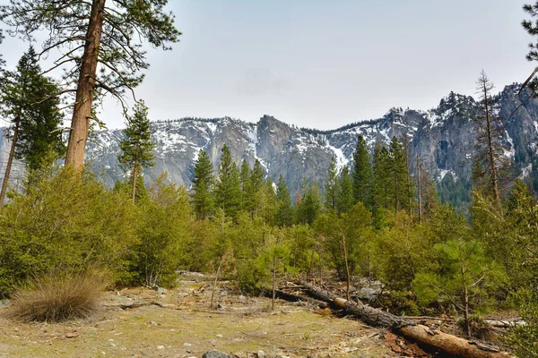Yosemite National Park landscape, California. USA — Stock Photo, Image
