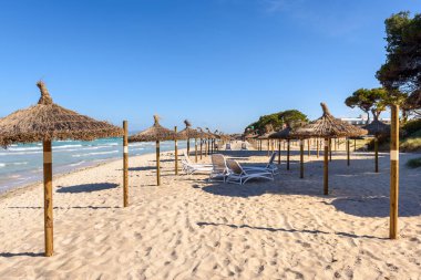 Mallorca Playa de Muro plajda Şemsiyeler, İspanya